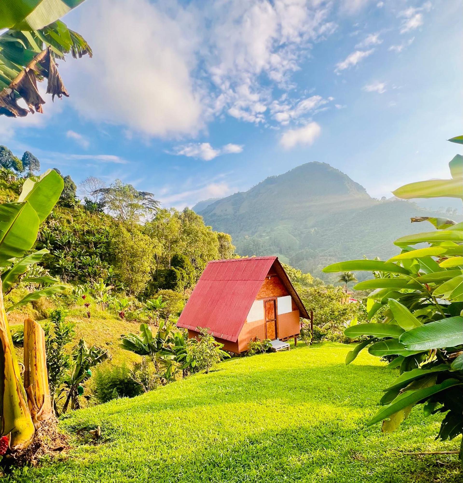 Loe Lodge Jardin
