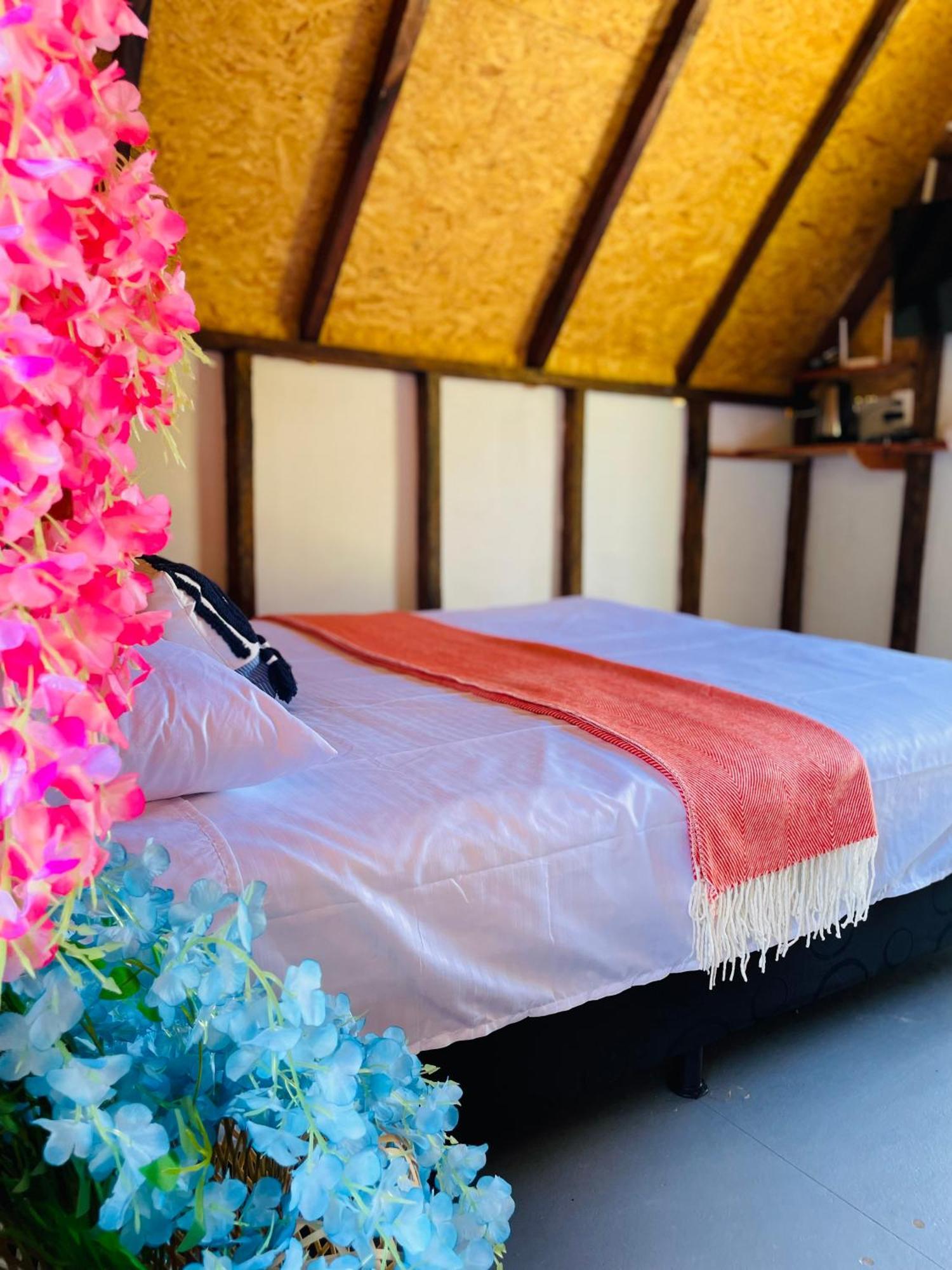 Loe Lodge Jardin